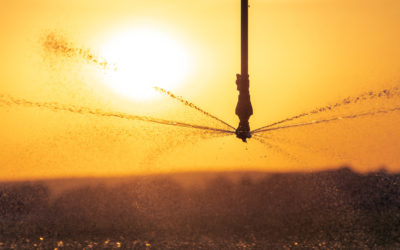 Distrito de Riego de Agua de Mar: Una Opción para el Crecimiento