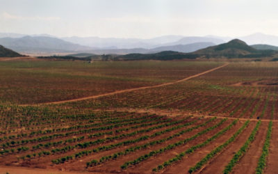 Segunda Generación
