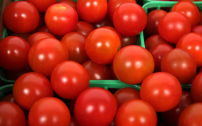 Novena Reunión 2018, Seguimiento a las Exportaciones de tomate fresco