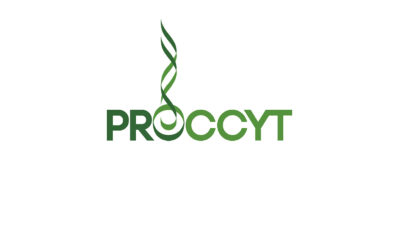 Reunión con PROCCYT