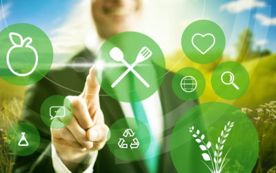 Seguridad Salud y Productividad